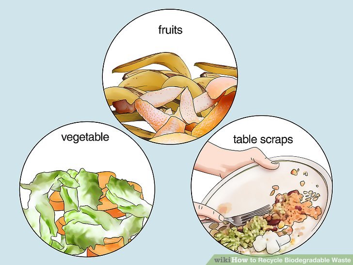 How to Recycle Biodegradable Waste