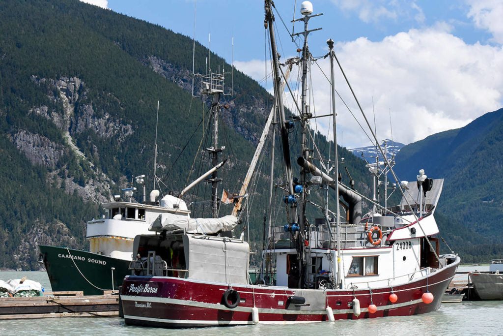 B.C. fish harvesters receive long-awaited details on pandemic benefits