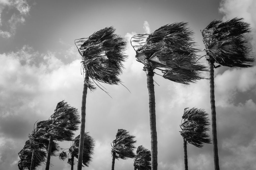 Becoming a Freelance Writer/Hurricane Update and More