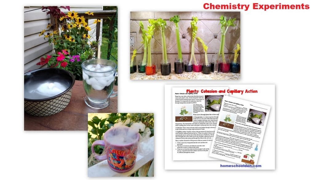 What We’ve Been Up To in our Homeschool!