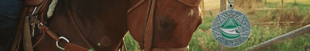 Ranger Award Equestrian Elective: Helps and Documents
