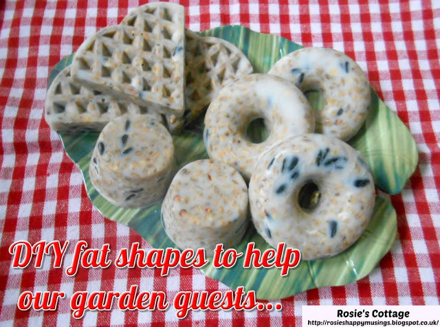 Blogtober Day 10:  How to help garden birds with 2 ingredient DIY fat shape