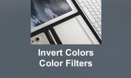 Accessibility Overview Workbook Series 7: Invert & Color Features