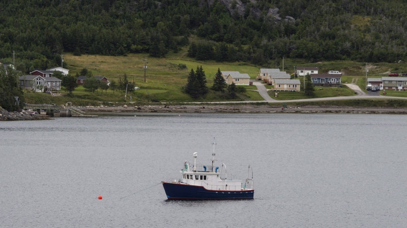 N.L. organization working to put local fish on Atlantic Canadian’s plates