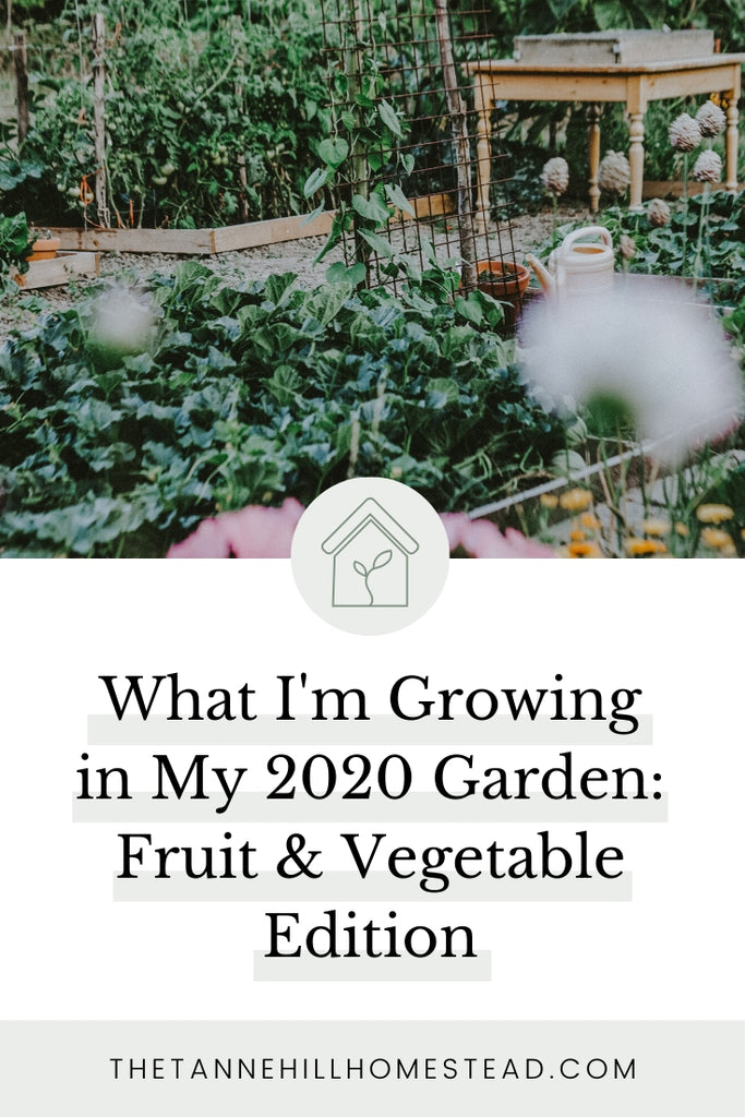 What I’m Growing in My 2020 Garden: Fruit & Vegetable Edition