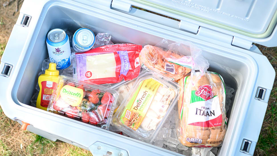 The Best Coolers of 2020