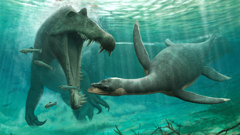 Freshwater plesiosaur fossils spark Loch Ness Monster questions