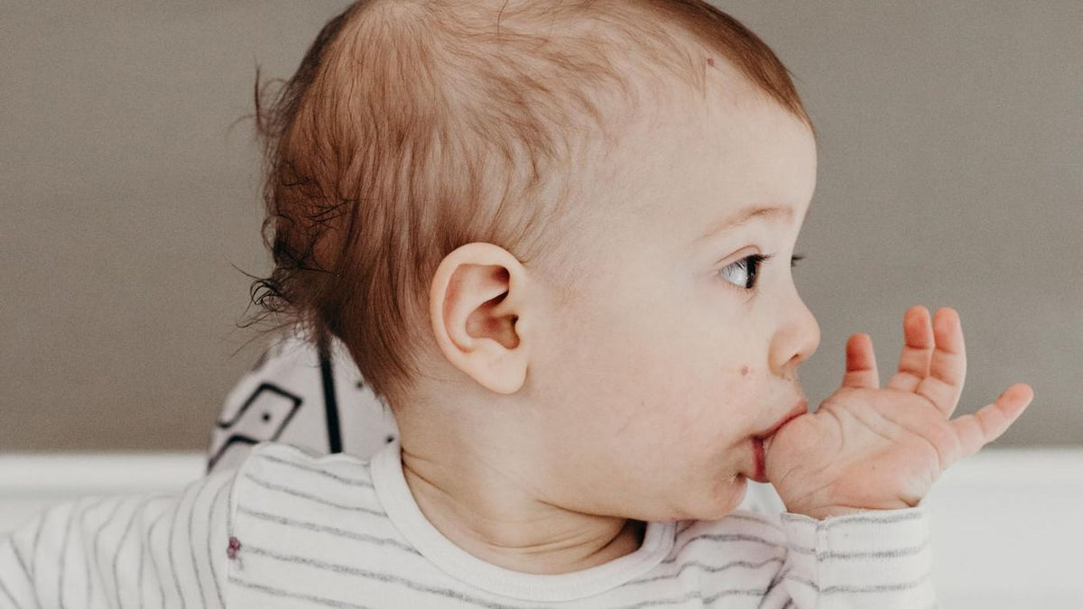 11 month old Feeding Schedule Expert Advice Online Social Shop 11-month-old-feeding-schedule-expert-advice-online-social-shop