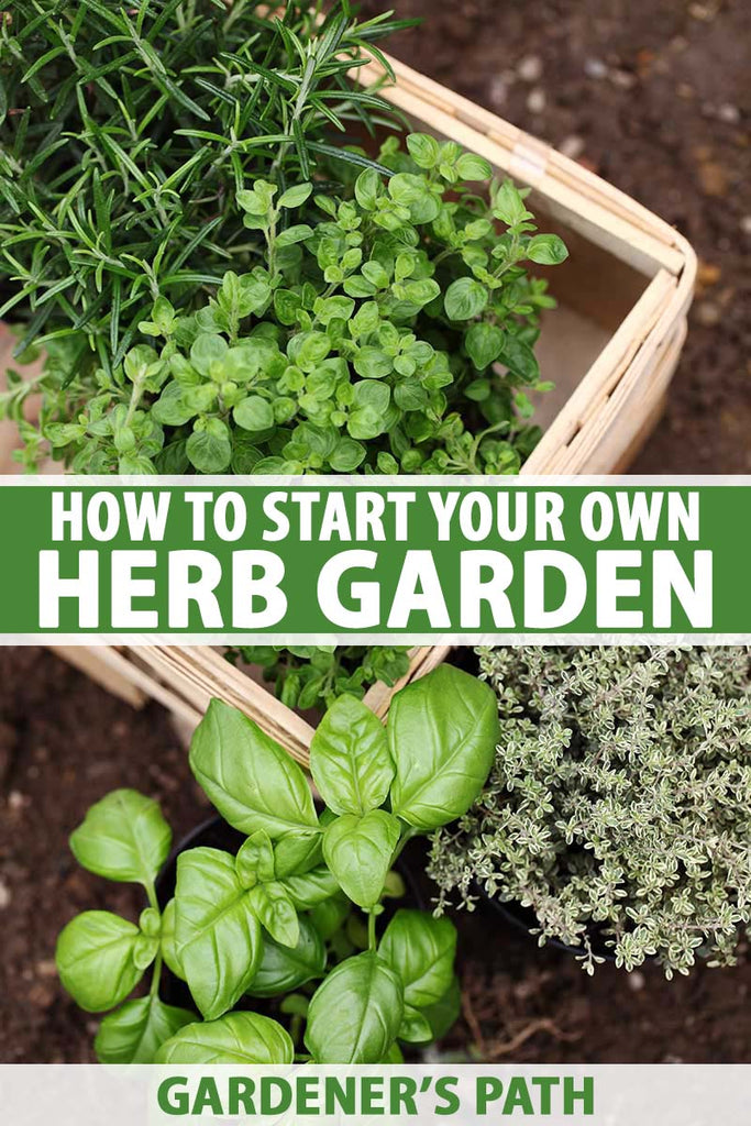 Try Something New This Spring – Grow Your Own Herbs!