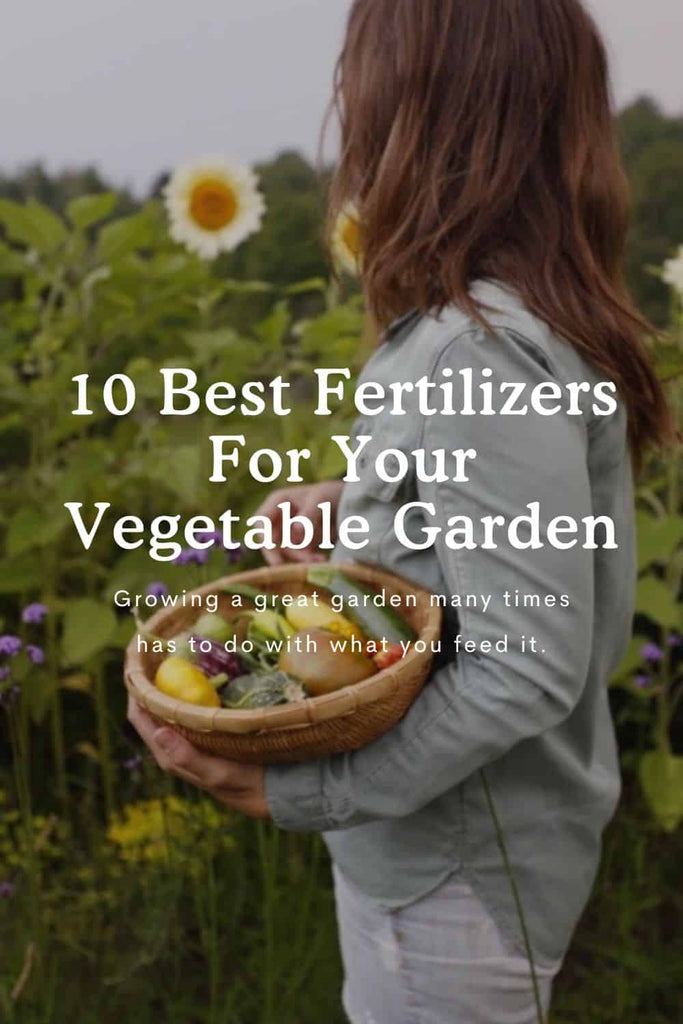 10 Best Fertilizers for The Vegetable Garden