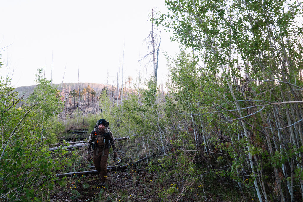 Spot and Stalk Spring Bear Hunting 101