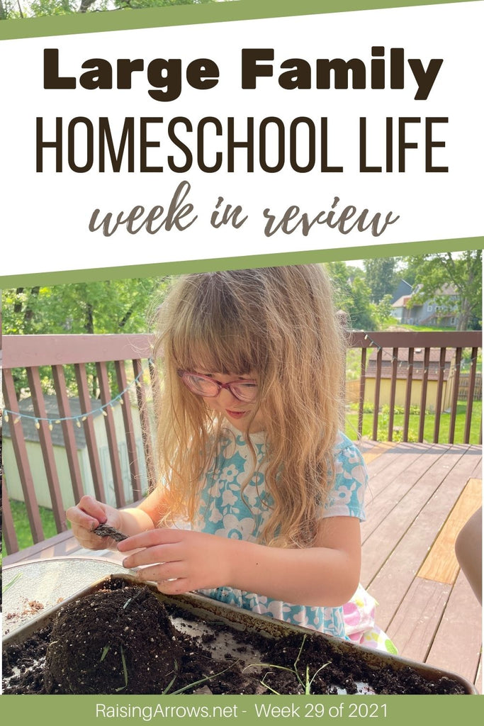 Large Family Homeschool Life – Week 29 of 2021