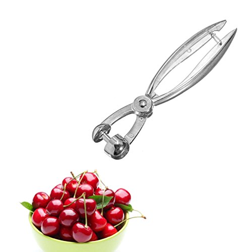 Top 17 for Best Cherry Olive Pitter