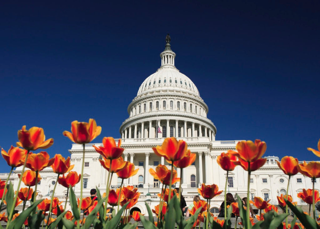 Grassroots Leaders Present Appropriations Asks in Virtual Fly-In