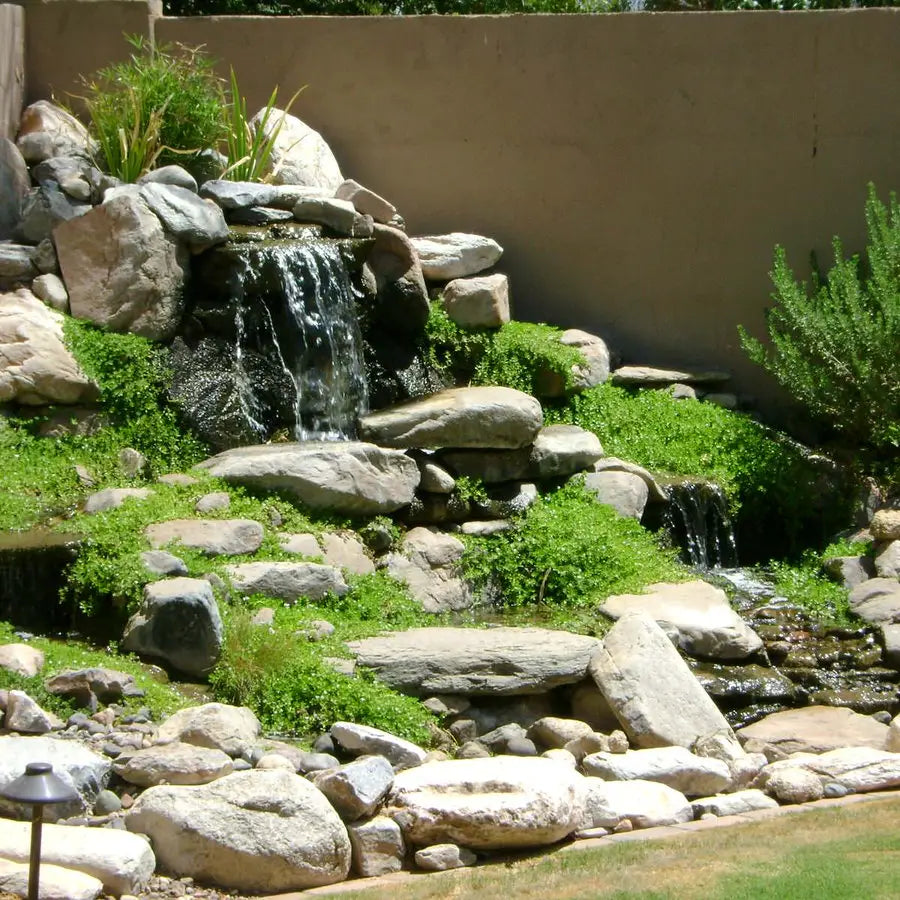 Unlock Your Backyard Potential with These 120 Stunning Small Pond Ideas!