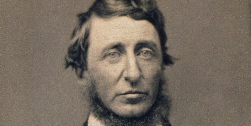 How Thoreau Launched the Transcendentalist Experiment in Education