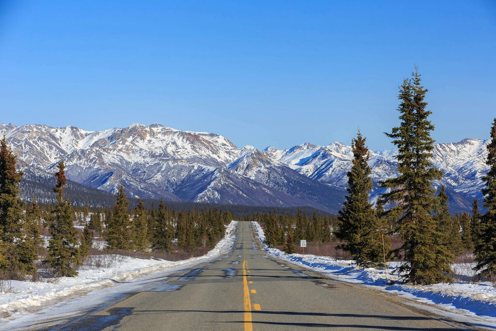 Best Things to Do in Fairbanks, Alaska in Winter