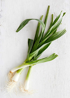 TIP OF THE DAY: Green Garlic