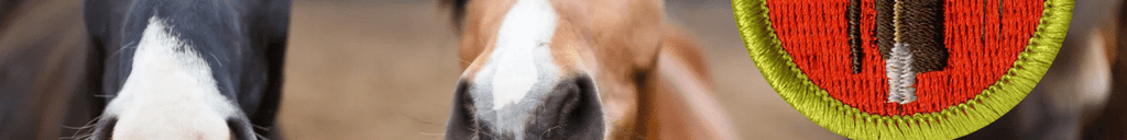 Horsemanship Merit Badge Helps and Documents