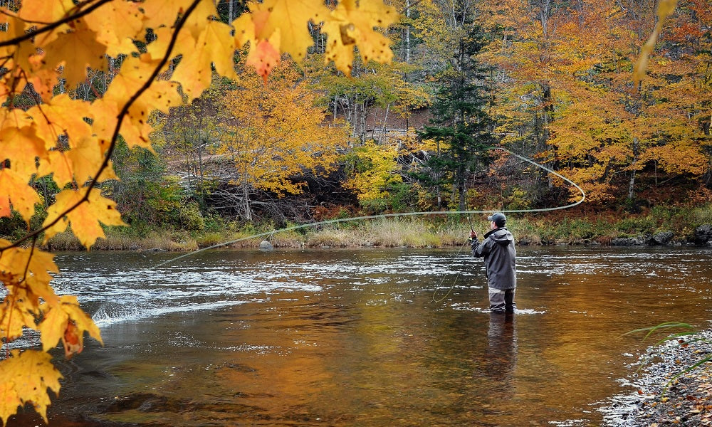 Spin Cast vs. Fly Fishing on the River