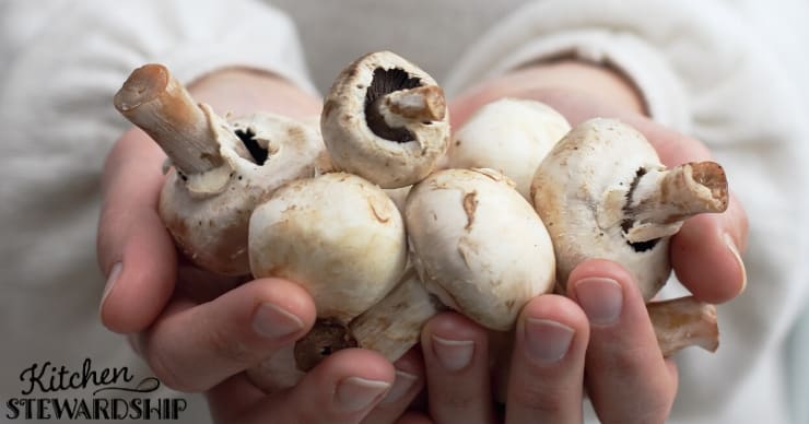 Munch More Mushrooms! Feed Your Family Fungi!