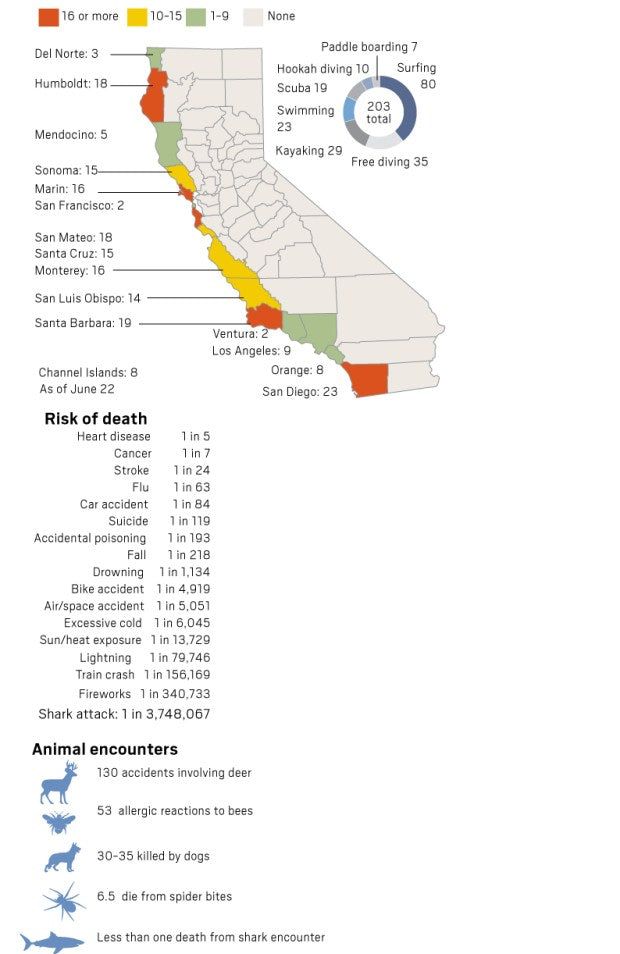With great white sharks spotted off the OC coast, here’s what you should know