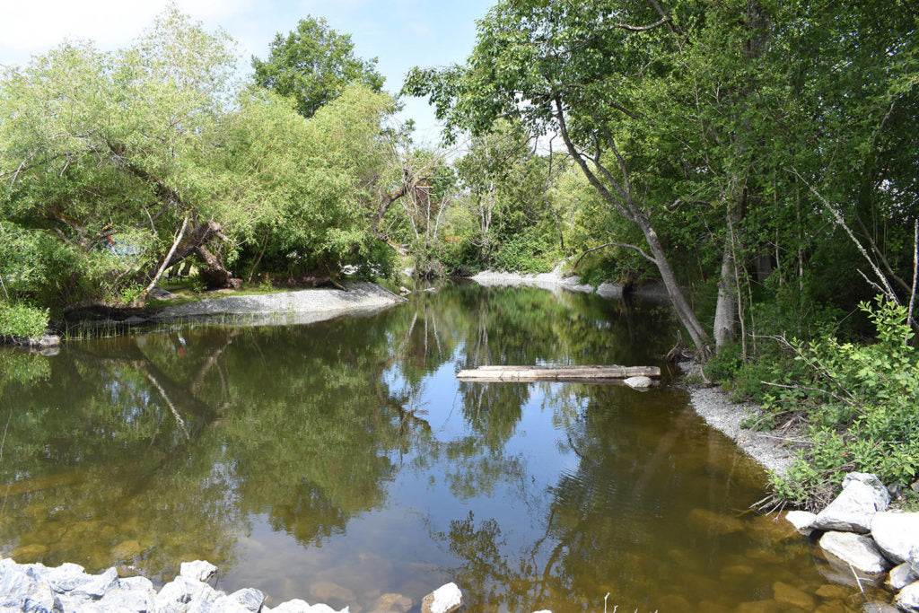 Sidney asks for input on future of Reay Creek Park